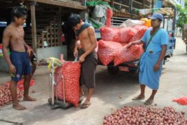 Reduced demand, lower quality lead to onion price decline