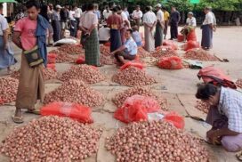 Potato prices rise while onion prices plummet in commodity market