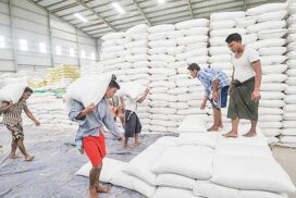 MoC introduces innovative rice export licensing system