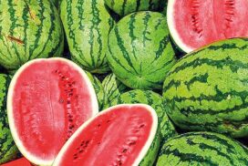 Export income of Myanmar watermelons reaches 28.697 mln Chinese yuan as of July 2023