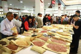 Myanmar pulses exports earn over US$580 mln in past five months