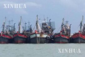 Tuna fishing proposals solicited in Myanmar’s EEZ