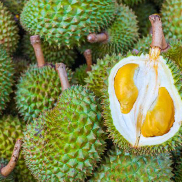 durian NS