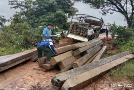 72.4820 tonnes of illegal timbers seized in Nay Pyi Taw, regions/states