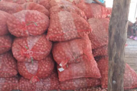 Onion prices skyrocket to K2,000 in Pyay market