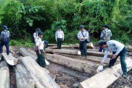 Illegal timbers, construction materials, raw jade, fuel oil and vehicles seized