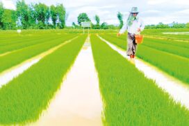 Most crops fetch high prices