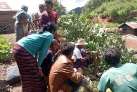Myanmar avocado body preps for Hass avocado cultivation in Leshi Tsp