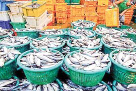 Myanmar conveys $53.04 mln worth fishery products to Thailand through three border posts in past four months
