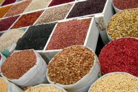 Black bean, pigeon pea prices soar on Indian demand