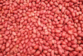 Low inventory drives up peanut prices