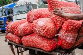 Prices of onion, Kyukok garlic variety rise