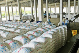 Urea fertilizers available at reasonable prices