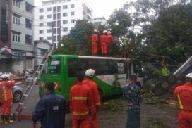 Tree falls on YBS bus in Ahlon Township