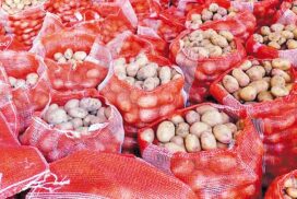 Chickpea, potato prices hit three-year high