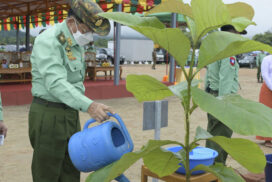 Families of Commander-in-Chief (Army, Navy and Air) office grow plants for third time