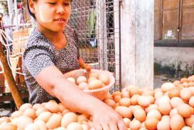 Egg price surges in early August