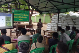 Monywa Agriculture Dept sells 1,200 urea fertilizer bags at fairer price
