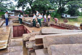 Illegal timbers, minerals, raw chemicals and vehicles confiscated
