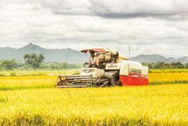 MADB Mandalay to loan K1,800 mln for farmers to purchase agri equipment this FY