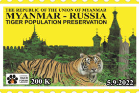3 new special postage stamps to be issued to mark Myanmar-Russia Tiger Population Preservation