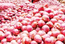 Wholesale prices of onion, palm oil slide in mid-Sept