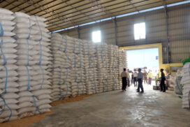 Myanmar earns $300 mln from rice export in past 5 months