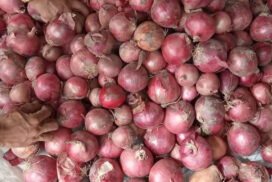 Chinese low-priced onions flood Bayintnaung Market amid soaring local onion prices