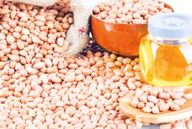 Peanut oil price slides tracking peanut price