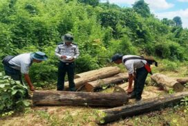 Illegal timbers, coal, consumer goods and vehicles confiscated