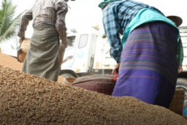 90-day rice price hits K1,300,000 per 100 baskets