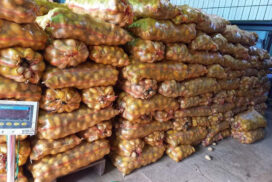 Chinese potato, onion prices decline in Yangon market