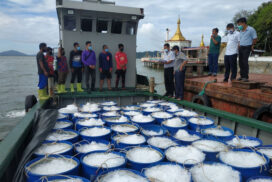 Myanmar aquaculture products export generates over $260 mln as of 26 August