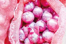 Chinese onions priced at K1,300 per viss in wholesale markets