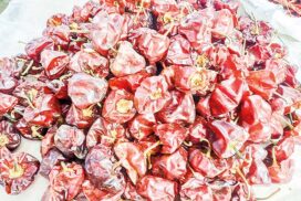 Bell pepper price on rising at K30,000 per viss