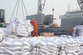 Myanmar imports over 10,000 tonnes of fertilizer worth US$6.491 mln by sea in past two weeks