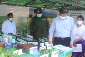 MoD Union Minister provides fertilizers, seeds and inputs to farmers in Sagaing