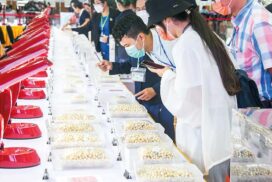 Over 170 lots of pearl sold out on third day of 2022 Mid-Year Gems Emporium