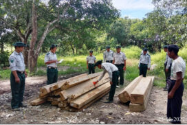 Illegal timbers, foodstuffs, industrial materials and vehicles confiscated