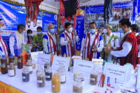 67th Anniversary of Kayin State Day marked