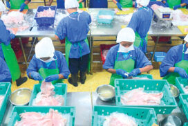 Myanmar ships nearly 100,000 tonnes of fishery products to Thailand in past seven months