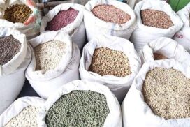Myanmar ships nearly 900,000 tonnes of various pulses to external markets in past 7 months