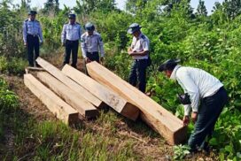 Illegal teak, foodstuffs, consumer goods and vehicles confiscated