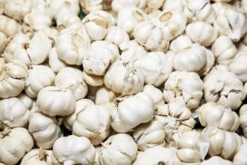 Shan garlic price hits record high within 5 years
