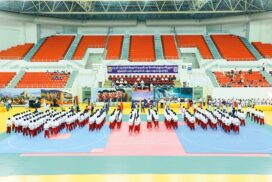 SAC members attend opening ceremony of Inter-Region/State traditional martial arts competition 2023 in Nay Pyi Taw