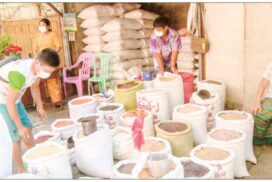 Myanmar brings in over $826 mln from pulses exports in eight months