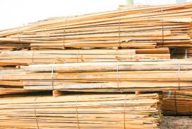 USD 9.45 million exceeded in forest products’ export within eight months this FY more than that of last FY
