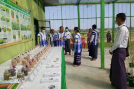 SAC member inspects Research Centre in Myaungmya