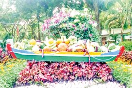Kandawgyi to host Vegetable, Fruit and Horticultural Show
