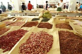 New black-eyed pea enters Mandalay market